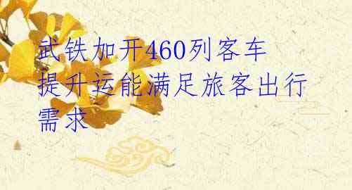 武铁加开460列客车 提升运能满足旅客出行需求
