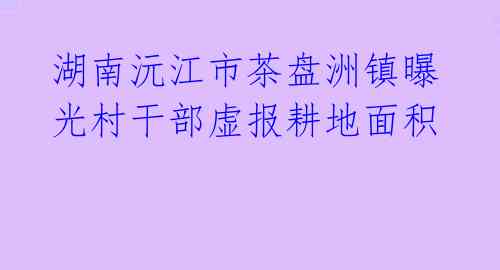 湖南沅江市茶盘洲镇曝光村干部虚报耕地面积 