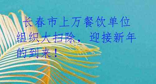  长春市上万餐饮单位组织大扫除，迎接新年的到来！ 