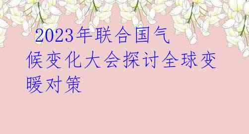  2023年联合国气候变化大会探讨全球变暖对策 