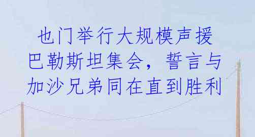 也门举行大规模声援巴勒斯坦集会,誓言与加沙兄弟同在直到胜利