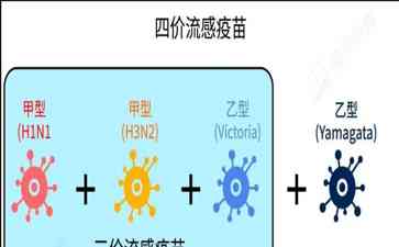 揭秘甲乙流感的区别与后遗症真相