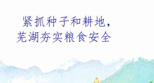  紧抓种子和耕地，芜湖夯实粮食安全