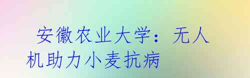  安徽农业大学：无人机助力小麦抗病