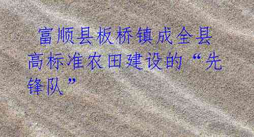 富顺县板桥镇成全县高标准农田建设的“先锋队”