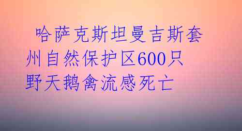 哈萨克斯坦曼吉斯套州自然保护区600只野天鹅禽流感死亡