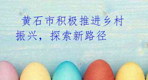 黄石市积极推进乡村振兴,探索新路径