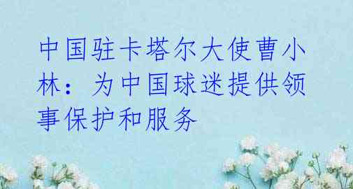 中国驻卡塔尔大使曹小林:为中国球迷提供领事保护和服务
