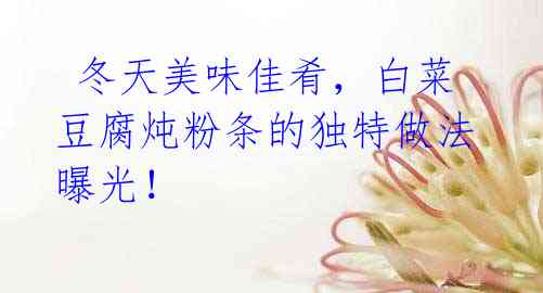 冬天美味佳肴,白菜豆腐炖粉条的独特做法曝光!