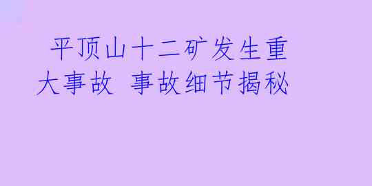  平顶山十二矿发生重大事故 事故细节揭秘 