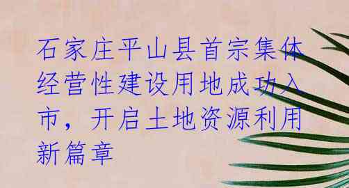 石家庄平山县首宗集体经营性建设用地成功入市，开启土地资源利用新篇章 