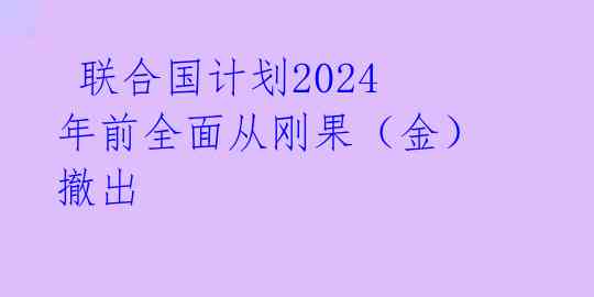  联合国计划2024年前全面从刚果（金）撤出 