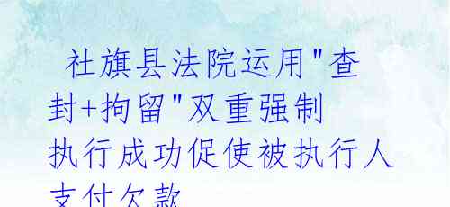  社旗县法院运用"查封+拘留"双重强制 执行成功促使被执行人支付欠款 