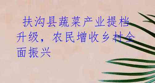  扶沟县蔬菜产业提档升级，农民增收乡村全面振兴