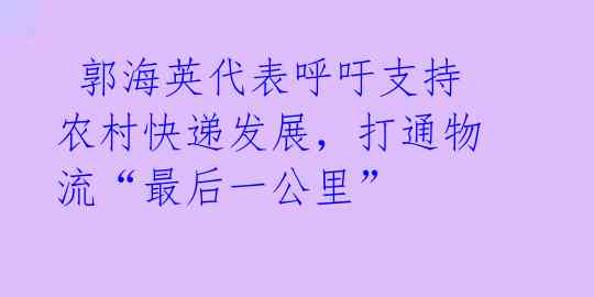  郭海英代表呼吁支持农村快递发展，打通物流“最后一公里” 