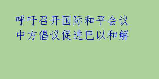 呼吁召开国际和平会议 中方倡议促进巴以和解 