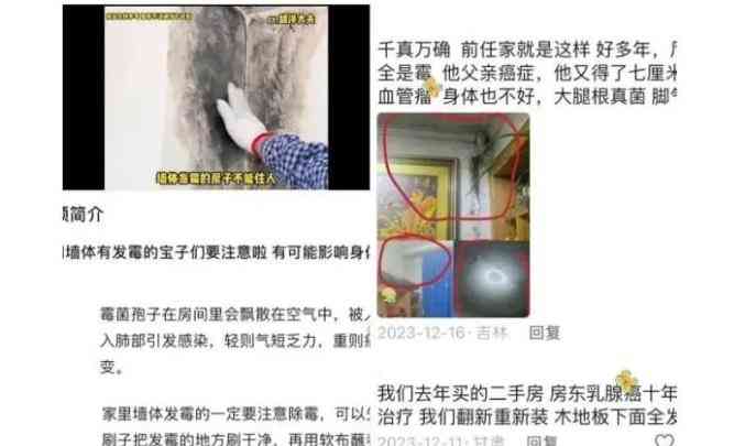 家中墙体发霉 慎防致癌物侵袭 