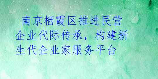  南京栖霞区推进民营企业代际传承，构建新生代企业家服务平台 