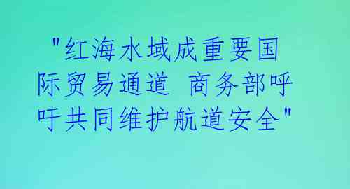  "红海水域成重要国际贸易通道 商务部呼吁共同维护航道安全" 