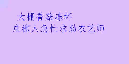  大棚香菇冻坏 庄稼人急忙求助农艺师 