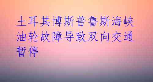 土耳其博斯普鲁斯海峡油轮故障导致双向交通暂停 