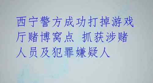 西宁警方成功打掉游戏厅赌博窝点 抓获涉赌人员及犯罪嫌疑人 