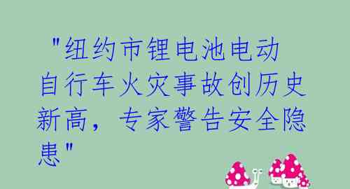  "纽约市锂电池电动自行车火灾事故创历史新高，专家警告安全隐患" 