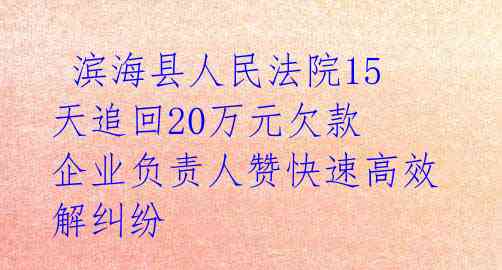  滨海县人民法院15天追回20万元欠款 企业负责人赞快速高效解纠纷