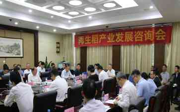  中国科学院和中国工程院院士云集 三亚探讨再生稻发展 