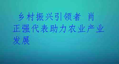  乡村振兴引领者 肖正强代表助力农业产业发展