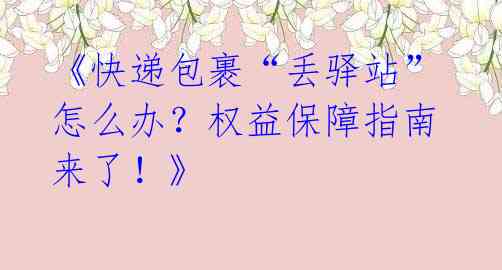 《快递包裹“丢驿站”怎么办？权益保障指南来了！》